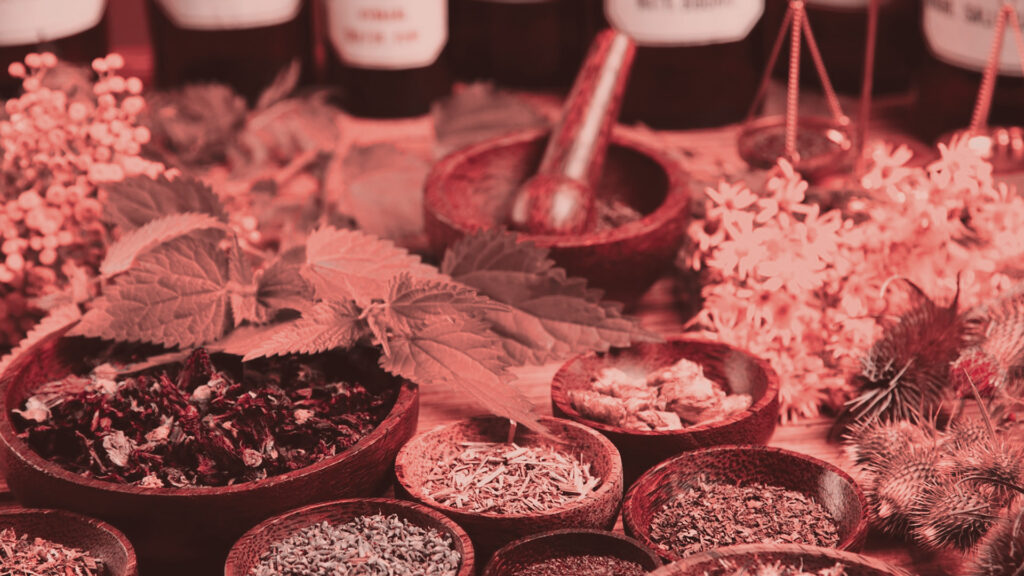 Traditional medicine: Ancient wisdom meets modern science